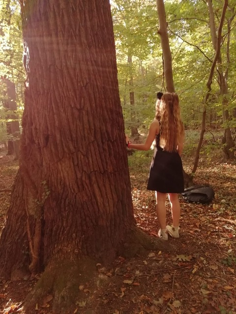 Header of little_evil_lilith666