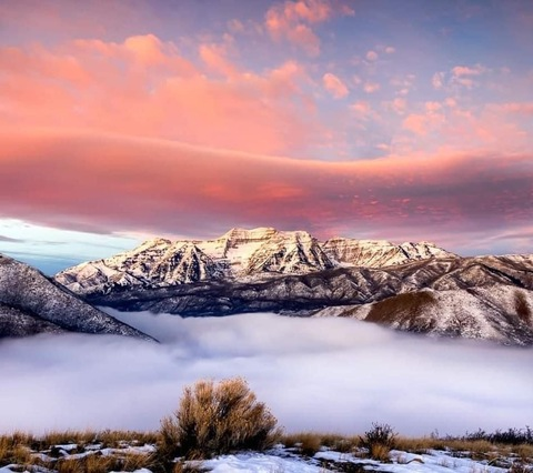 Header of littlelionheart2313