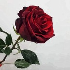 Download lolaebunny OnlyFans videos and photos for free 

 profile picture