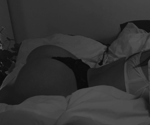 Header of lollipopnorway