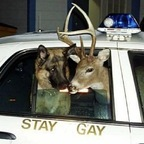 lonelystoner_26 (LS26) free OnlyFans Leaked Pictures & Videos 

 profile picture