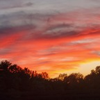 Onlyfans leaked louispepper69 

 profile picture