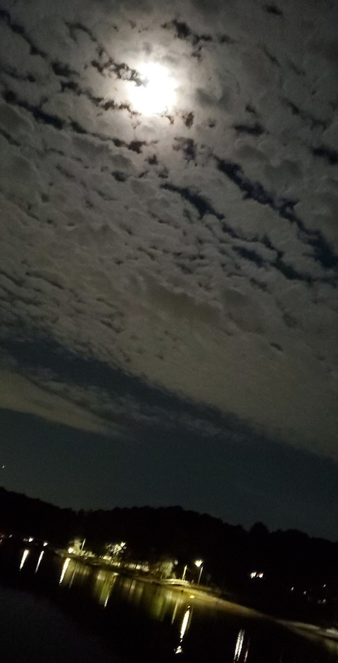 Header of louispepper69