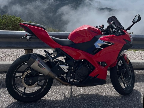 Header of lov3lychick