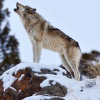 love4love (UNILOVER) free OnlyFans Leaked Pictures and Videos 

 profile picture