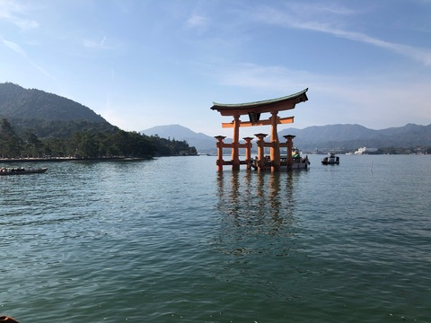 Header of lovely_liv_xo