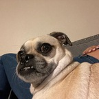 loveurguts OnlyFans Leak 

 profile picture