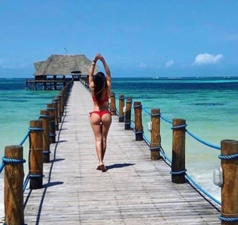 Header of lucica_alice