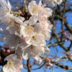 lunal0vegood OnlyFans Leak 

 profile picture