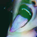 Free access to (@lupitahellqueeen) Leaked OnlyFans 

 profile picture