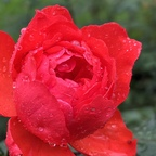 Onlyfans leaks lysswindz 

 profile picture