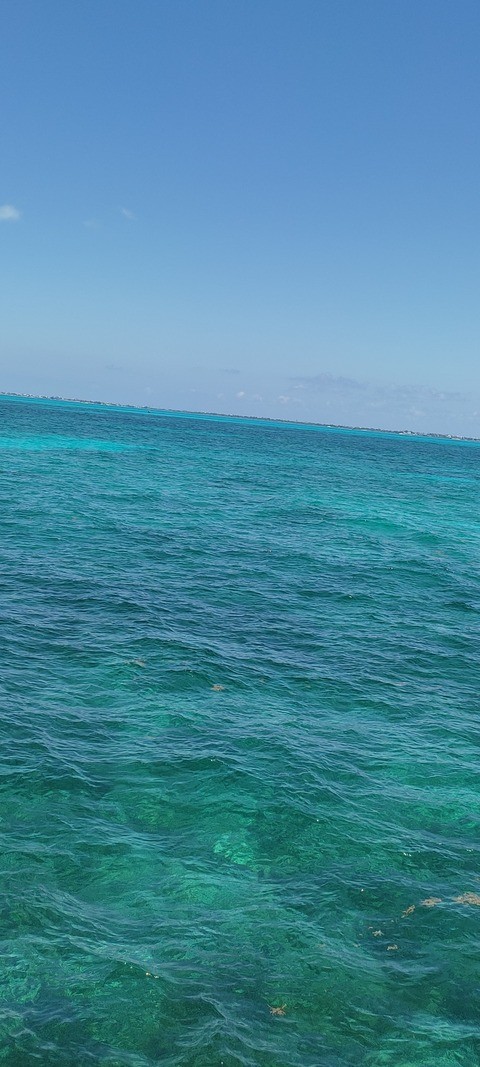 Header of majo_sweetgirl