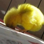 makkk (makkk) OnlyFans Leaks 

 profile picture