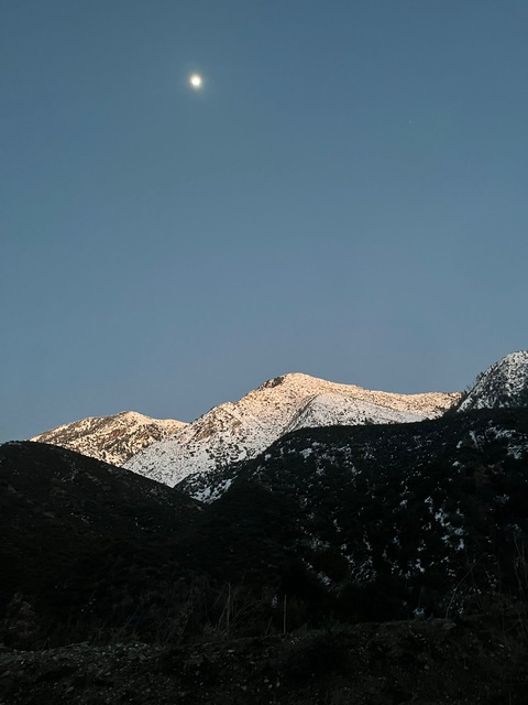 Header of mandaaa222