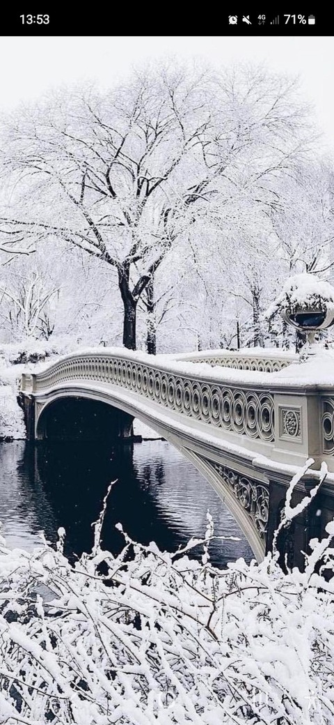 Header of marcanthony123