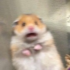 marcyadams OnlyFans Leak 

 profile picture