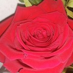 mariabellucci14 OnlyFans Leaked Photos and Videos 

 profile picture