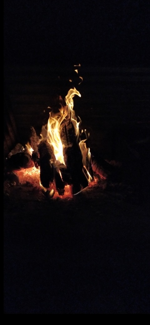 Header of maryposaof