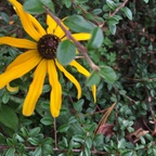 marythefairy (Mary) OnlyFans content 

 profile picture