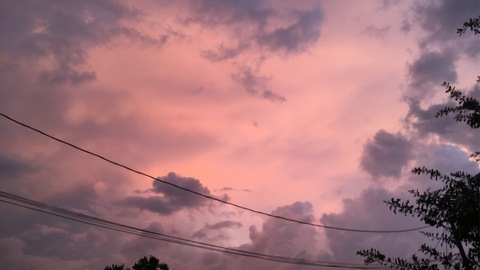 Header of marythefairy