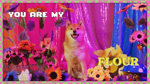 Header of mastersweets