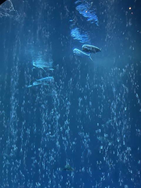 Header of matthew9225