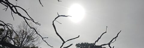 Header of mb1001