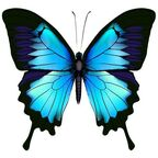 Onlyfans leaks meloow 

 profile picture