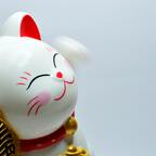 Free access to (meringue) Leaked OnlyFans 

 profile picture