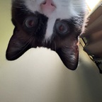 Onlyfans leaked mewcute 

 profile picture