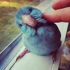 Onlyfans leaks mikuru 

 profile picture