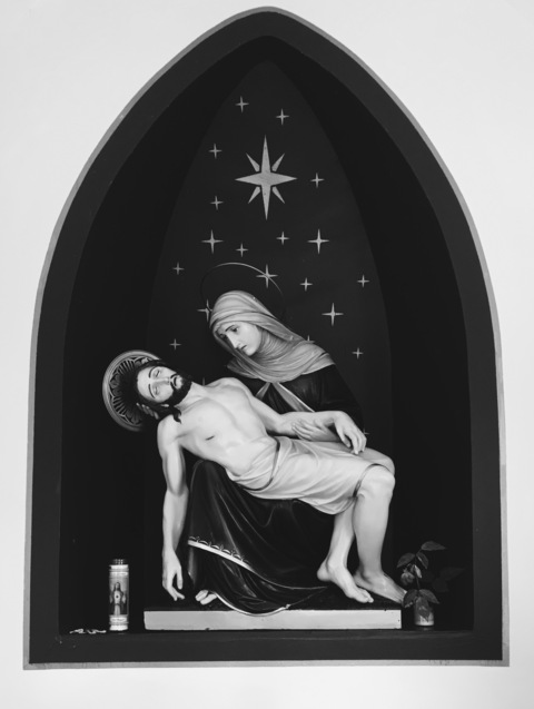 Header of milkxthistle