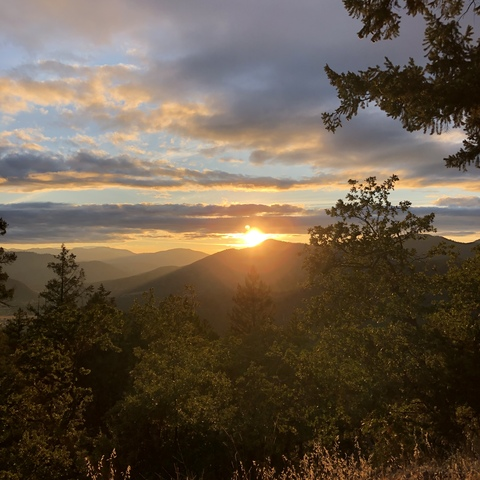 Header of milliondollarslayla