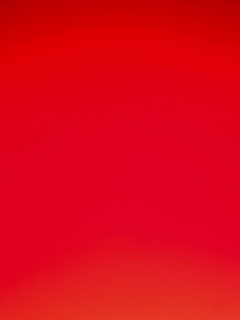 Header of minipapiofficial