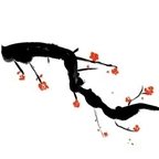 Free access to (minoz) Leaked OnlyFans 

 profile picture