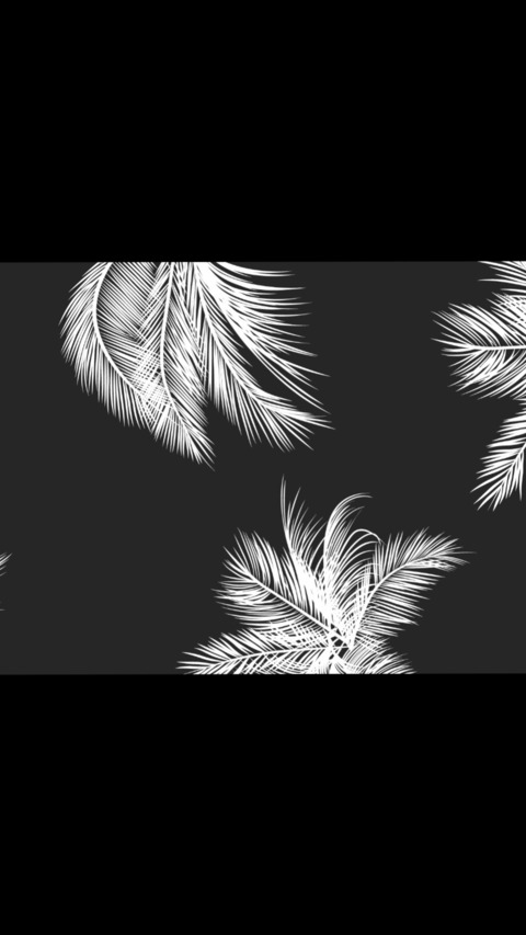 Header of mishamilu