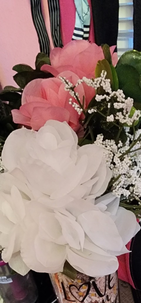 Header of mollyann24