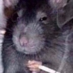 Onlyfans leaks molotov_cockteez 

 profile picture