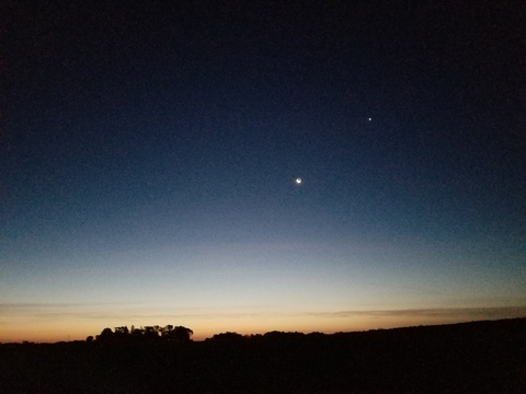 Header of moonkitty420