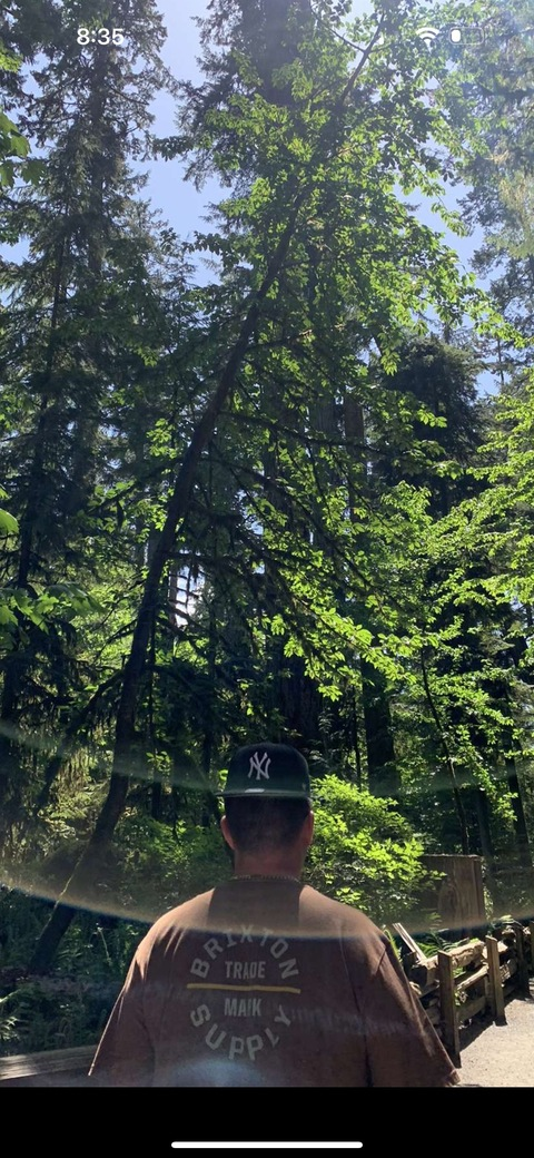 Header of morganevan03