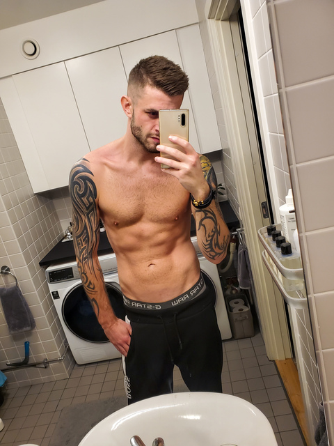 Header of mr-swede-viking