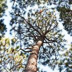 mr_anderson11 (Mr Anderson) OnlyFans Leaked Pictures & Videos 

 profile picture