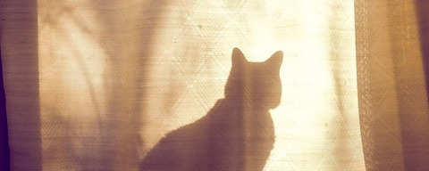 Header of murstorie_free