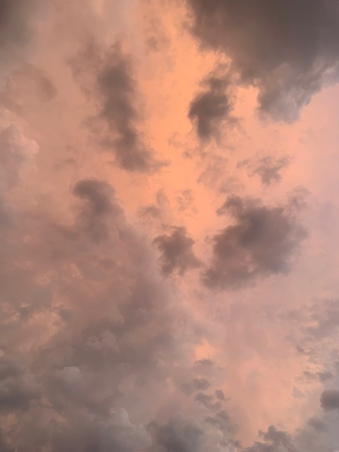 Header of mutablekitty