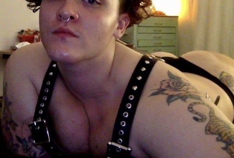 Header of mxxx.sweets