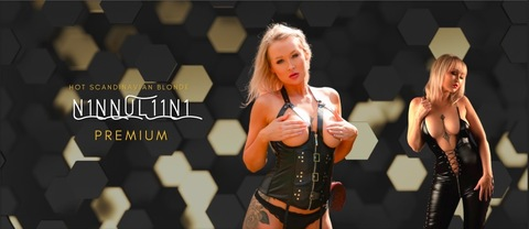 Header of n1nnul11n1_premium