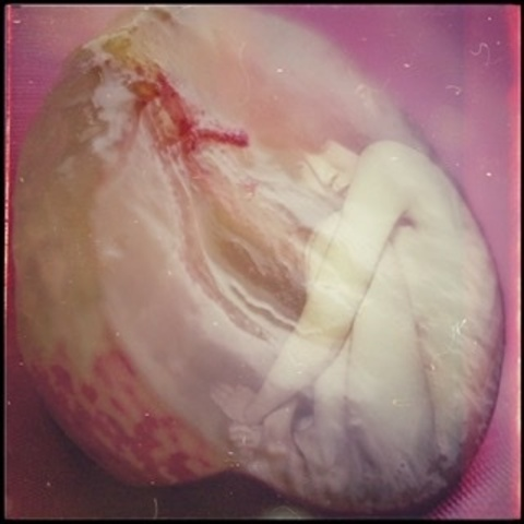 Header of nana7nano.nano