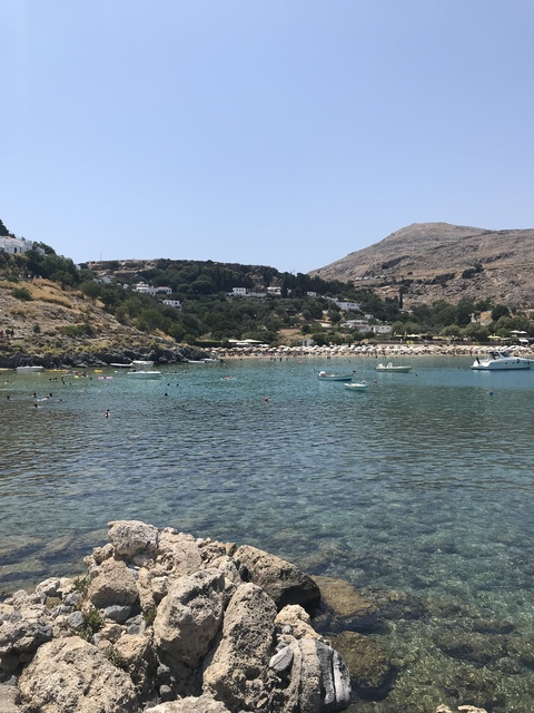 Header of natalieonly