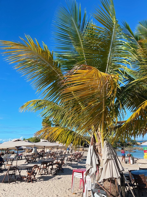 Header of natanaelrodrigs