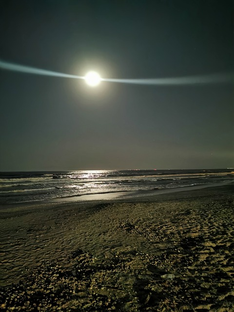 Header of naughty.mike